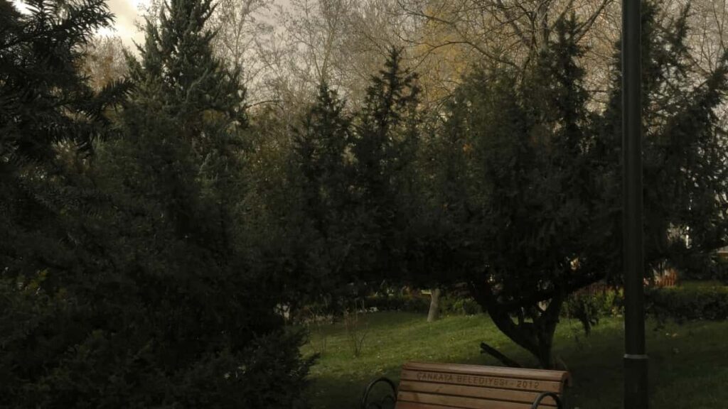 Türkiye Twitter Fenomenleri İngiltere Markalarıyla Nasıl İşbirliği Yapar
