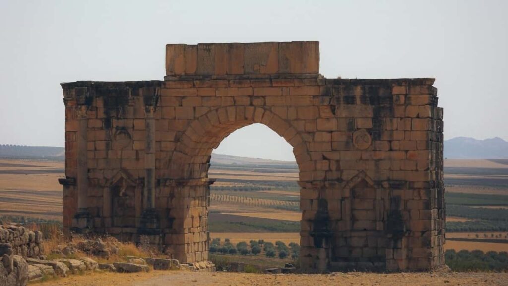Türkiye TikTok Fenomenleri İngiltere Markalarıyla Nasıl İşbirliği Yapabilir
