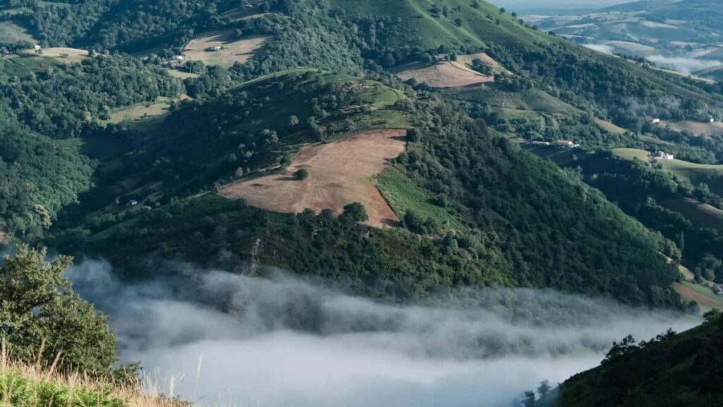 Azerbaycanda İş Birliği Yapılacak En İyi 10 WhatsApp Influencerı