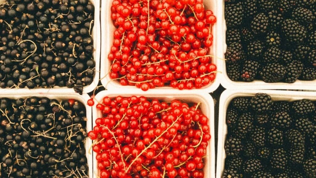 Rusyada İşbirliği Yapılacak En İyi 10 Instagram Fenomeni