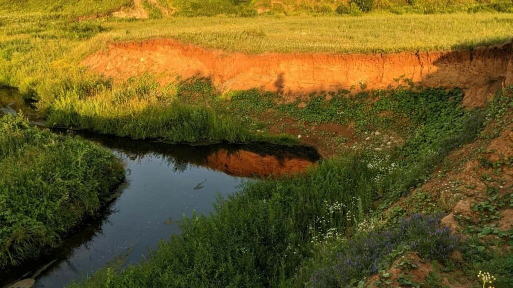 2025 Kazakistan Twitter Tüm Kategoriler Reklam Fiyat Tablosu