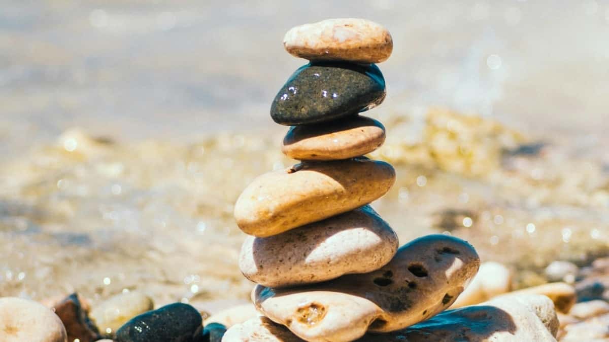Markalar ShareChat’te Ürün Numunesi Göndererek Nasıl Kazanıyor?