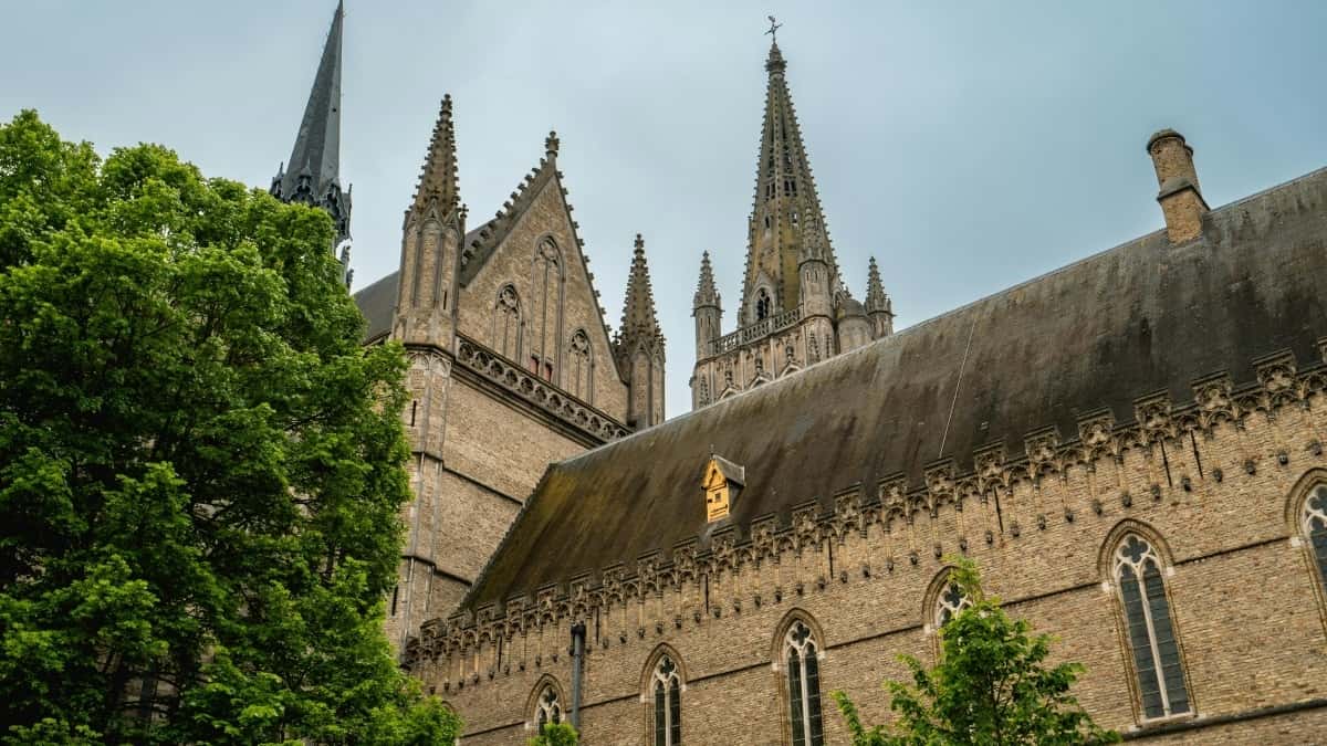 Takatak’ta Güney Afrika Markalarına Ulaşma Rehberi