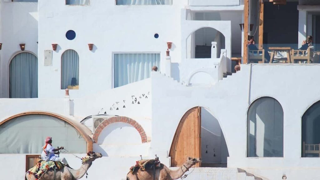 Turkiye'den moda icerik ureticilerine yonelik, OnlyFans uzerinden Yeni Zelanda markalaryla lookbook ortaklg kurma taktikleri outreach kanallar, ornek mesajlar ve yasal/pratik uyarlar.