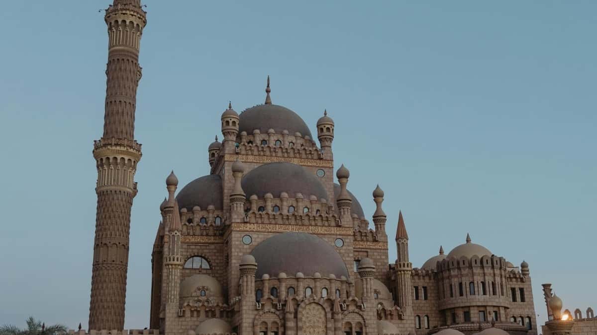 Qatar Discord Yaratıcıları: Marka İtibarını Güçlendir