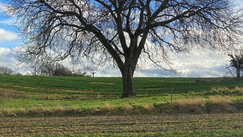 Turkiye'den influencerlar icin pratik rehber: KakaoTalk uzerinden Irlanda markalarna nasl yaklaslr, OnlyFans ve pazar trendleri ne soyluyor, hangi taktikler ucretli sponsorluk getirir.