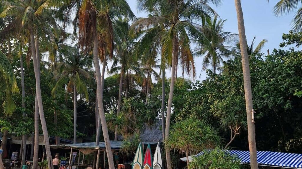 Turkiye reklamverenleri icin Peru merkezli Discord icerik ureticilerini bulma, dogrulama ve otantik inceleme saglama rehberi. Adm adm taktikler, riskler ve yerel ornekler.