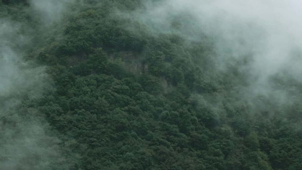 Turkiye'den reklamverenler icin Isvicre'de Threads yaratclaryla uzun vadeli, orta seviye ortaklk kurma rehberi strateji, kesif kanallar ve risk yonetimi.