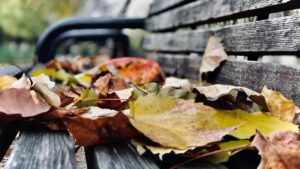 Turkiye'den reklamverenler icin Avustralya'daki ShareChat yaratclarn nasl bulup landing sayfanza trafik yonlendireceginizi, yerel trendleri ve uygulanabilir taktikleri adm adm anlatr.