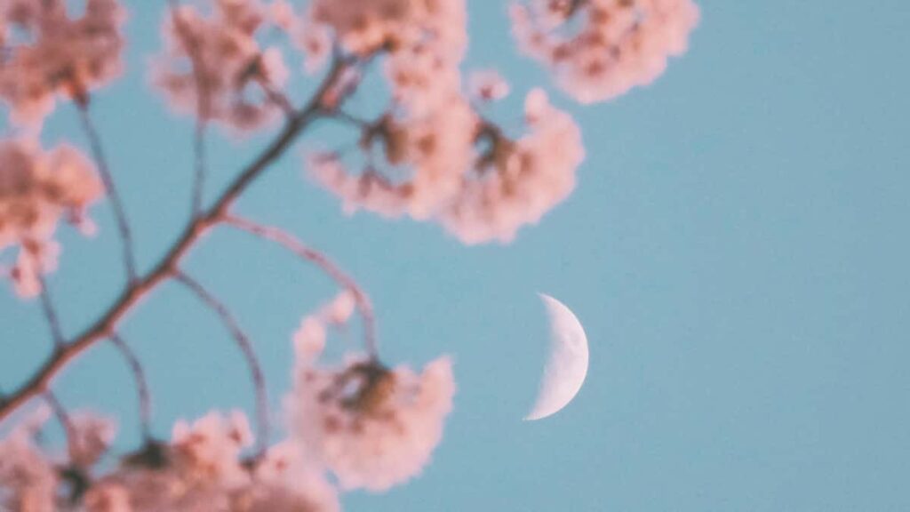 Turkiye reklamclar icin Jordan/Josh tipi yaratclar bulma, secme ve creator-led egitim serisi baslatma rehberi; veri, ajans icgoruleri ve trend ongoruleriyle.