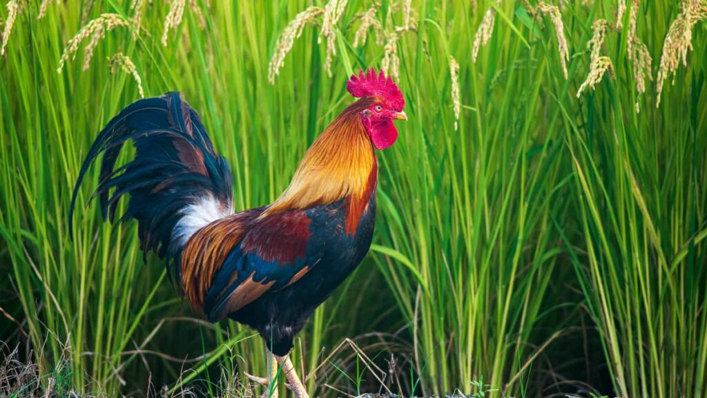 Almanya'daki markalarla WhatsApp uzerinden muzik trend ortaklg kurmak isteyen Turkiye'li yaratclar icin pratik rehber, script'ler, GDPR uyarlar ve kantlanms taktikler.