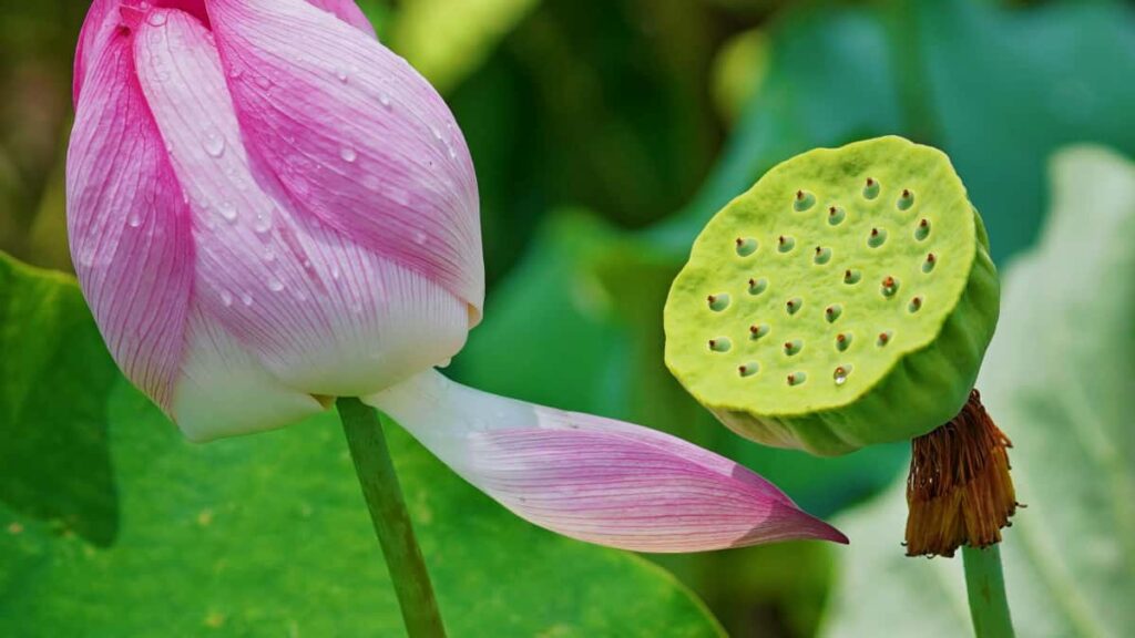 Turkiye odakl markalar icin OnlyFans yaratclarn bulma, degerlendirme ve sosyal etkilesimi artrma rehberi. Pratik taktikler, riskler ve kampanya ornekleri.