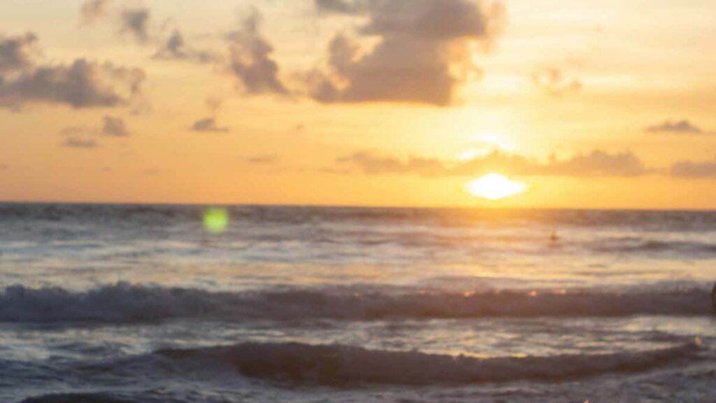 Turkiye'den creator'lar icin pratik admlar: Bulgar markalarla OnlyFans uzerinden is kurma, iletisim stratejileri, gizlilik ve yerel trendler. Somut taktikler ve kaynaklar.