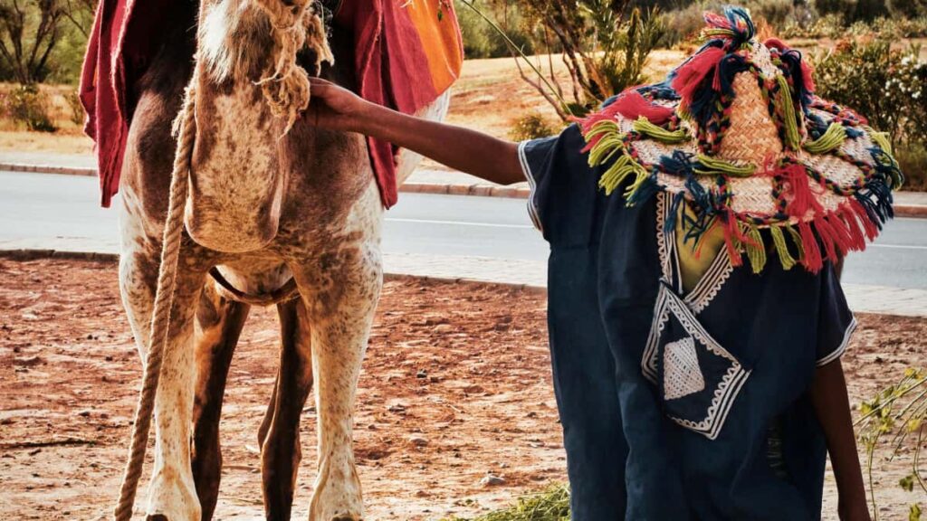 Turkiye'li icerik ureticileri icin pratik rehber: eBay uzerinden Singapur merkezli markalara nasl ulasp online kurs kaytlarn artrrsnz strateji, kanallar ve yerel taktikler.