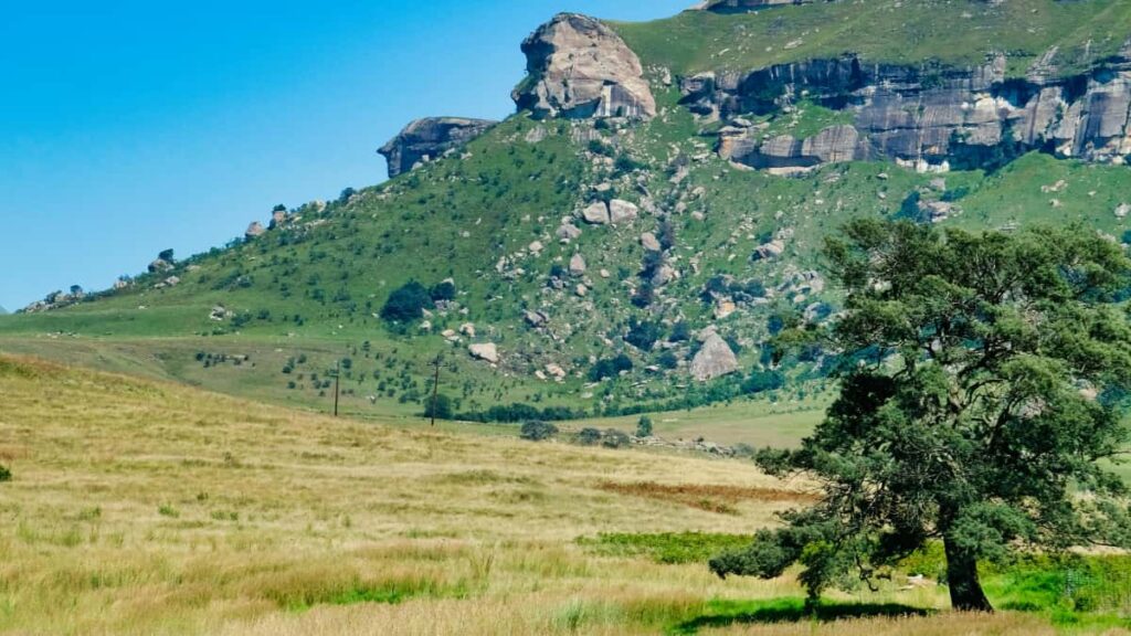 Turkiye'den kreatorler icin Kuaishou'da Sri Lanka markalarna ulasma rehberi. Hedefleme, yaklasm, yerel icerik fikirleri ve isbirligi surecleri pratik taktiklerle.