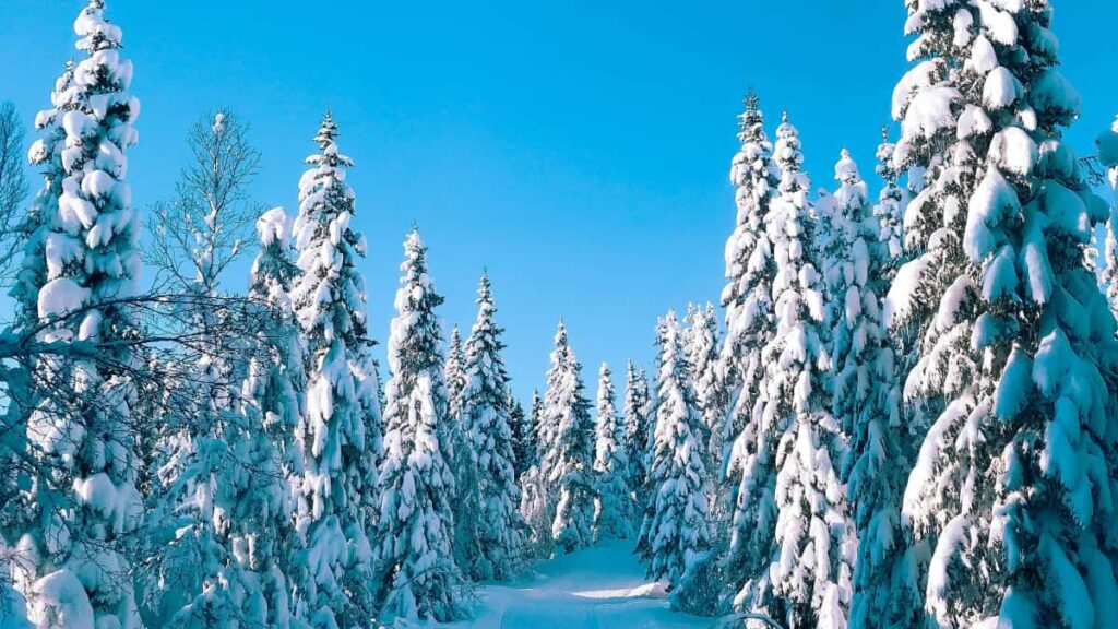 Turkiye'den Pinterest uzerinden Singapur markalarna ulasarak ucretsiz urun numunesi almak icin uygulanabilir admlar, ornek mesaj sablonlar, araclar ve riskler. Echelon ve Pinterest piyasa sinyalleriyle guncel rehber.