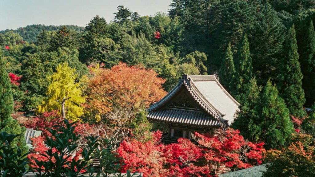 Turkiye'den YouTuber'larn Endonezya markalarna PR paketi gonderip unbox/review yapmas icin pratik admlar, iletisim sablonlar, lojistik ve yerel trend tuyolar.