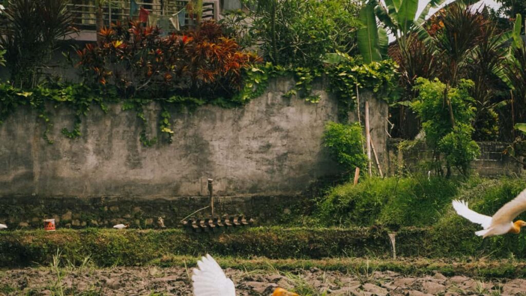 Turkiye'de ShareChat yaratclarn bulup etkilesim odakl kampanyalar baslatmak isteyen reklamverenler icin pratik, yerel ve uygulanabilir admlar.