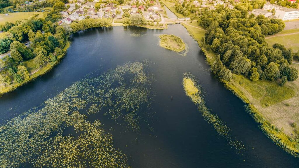 Turkiye'den markalar icin Kazakistan'daki Amazon icerik ureticilerini bulma, secme ve ortak kampanya yurutme rehberiyerel veri, platform tuyolar ve pratik admlar.