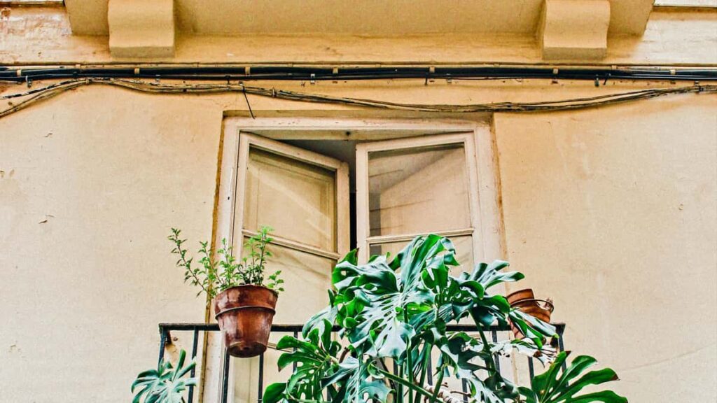 Turkiyeden yaratclar icin Peru markalaryla Discord uzerinden UGC frsatlarna ulasma rehberi. Pratik admlar, yerel taktikler ve gizlilik onerileri.