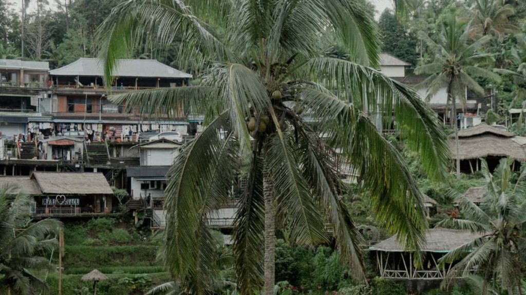 Turkiye reklamverenleri icin Tanzanya'da WhatsApp odakl creator sats kampanyas kurma rehberi: nereden bululur, nasl degerlendirilir, riskler ve uygulama admlar.