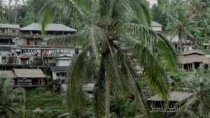 Turkiye reklamverenleri icin Tanzanya'da WhatsApp odakl creator sats kampanyas kurma rehberi: nereden bululur, nasl degerlendirilir, riskler ve uygulama admlar.